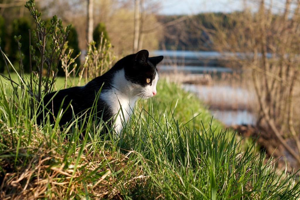 Willa Szara Sowa Stare Juchy Exteriér fotografie